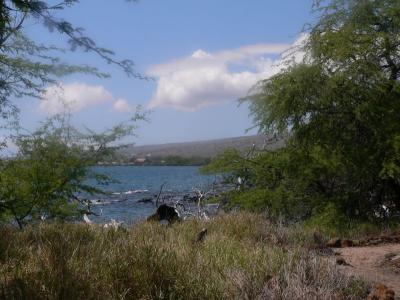 Hawaii 5-13-2006-1050.jpg