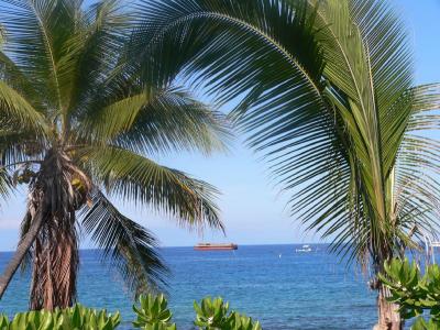 Hawaii 5-14-2006-0270.jpg