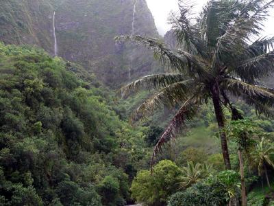 Hawaii 5-14-2006-0430.jpg