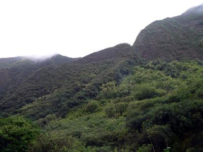 Hawaii 5-14-2006-0440.jpg
