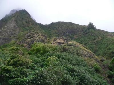 Hawaii 5-14-2006-0460.jpg