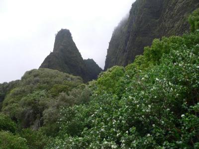 Hawaii 5-14-2006-0620.jpg