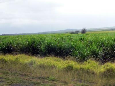 Hawaii 5-15-2006-0050.jpg