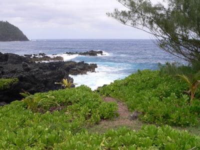 Hawaii 5-15-2006-0590.jpg