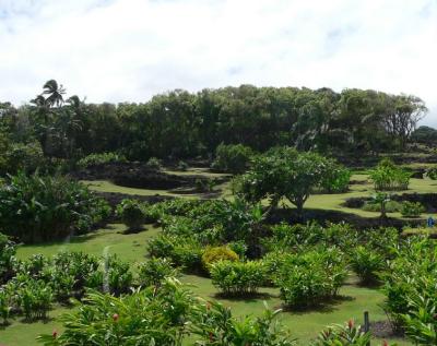 Hawaii 5-15-2006-0730.jpg
