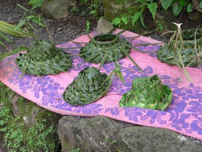Hawaii 5-15-2006-0850.jpg