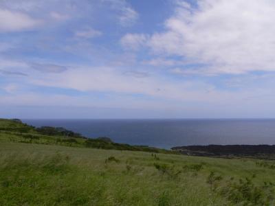 Hawaii 5-15-2006-1010.jpg