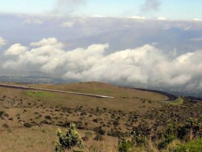 Hawaii 5-16-2006-0100.jpg