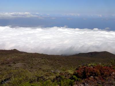 Hawaii 5-16-2006-0320.jpg