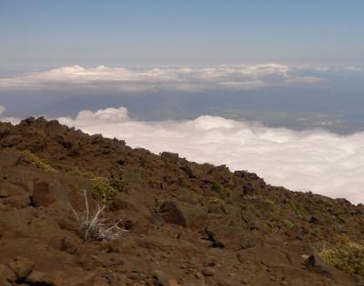 Hawaii 5-16-2006-0370.jpg