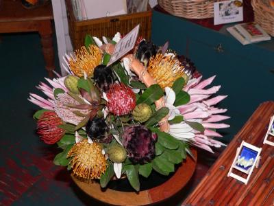 Hawaii 5-16-2006-1240.jpg