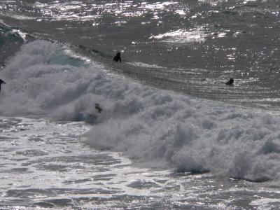 Hawaii 5-16-2006-1370.jpg