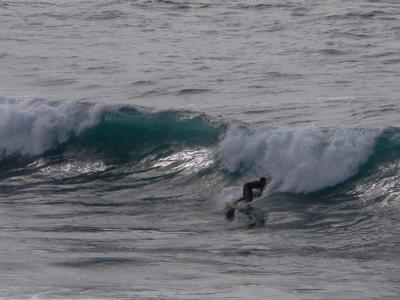 Hawaii 5-16-2006-1390.jpg