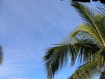 Hawaii 5-18-2006-0050.jpg