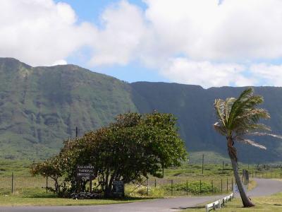 Hawaii 5-19-2006-0770.jpg