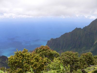 Hawaii 5-20-2006-0090.jpg