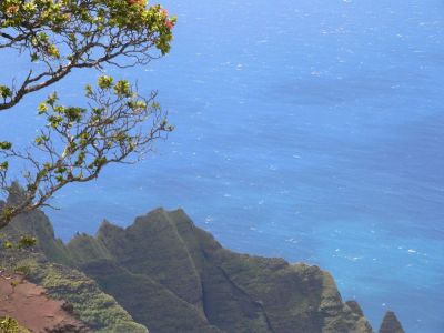Hawaii 5-20-2006-0120.jpg