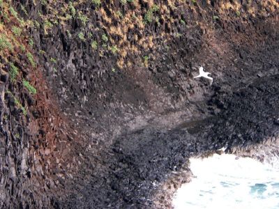 Hawaii 5-21-2006-0130.jpg