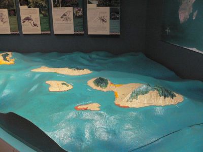 Hawaii 5-21-2006-0560.jpg