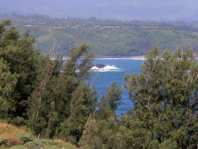 Hawaii 5-21-2006-0610.jpg