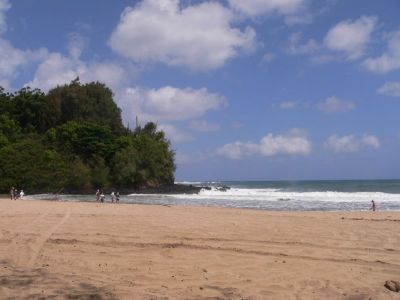 Hawaii 5-21-2006-0720.jpg