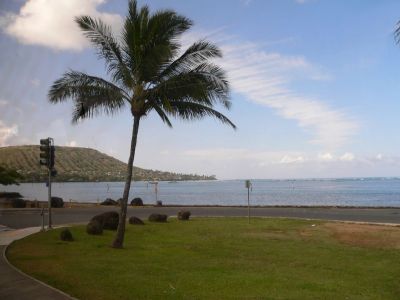 Hawaii 5-23-2006-0070.jpg