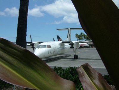 HA-284-plane to Maui.JPG