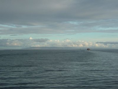 HA-464.JPG