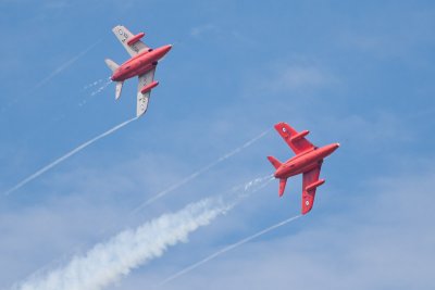 IMG_8953.jpg