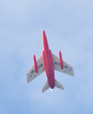 IMG_8982.jpg