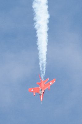 IMG_8998.jpg