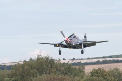 IMG_9019.jpg