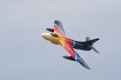IMG_9319.jpg