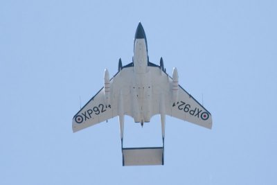 IMG_9462.jpg