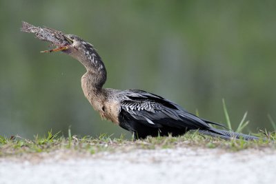 DSC_8063.jpg