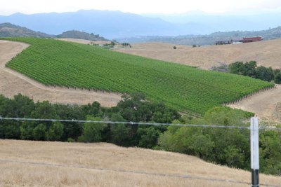 DSC_0072.jpg