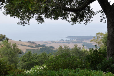 DSC_0184.jpg