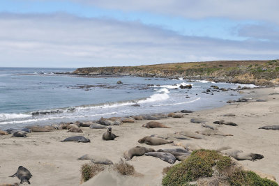 DSC_0195.jpg