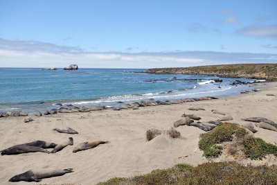 DSC_0236.jpg