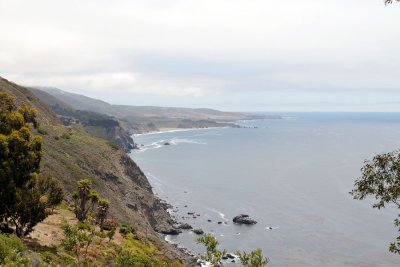 DSC_0241.jpg