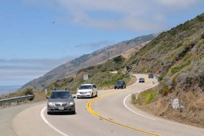 DSC_0242.jpg