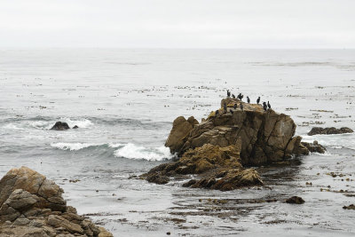 DSC_0259.jpg