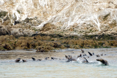 DSC_0274.jpg