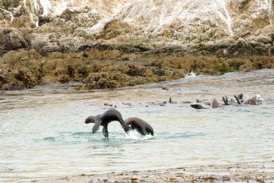 DSC_0279.jpg