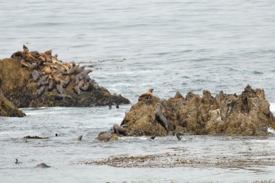 DSC_0294.jpg