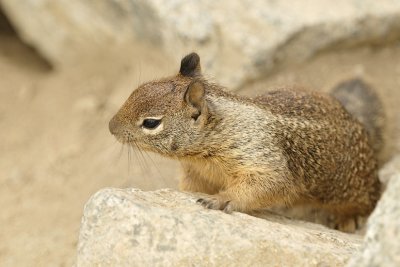 DSC_0297.jpg