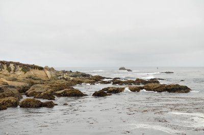 DSC_0300.jpg