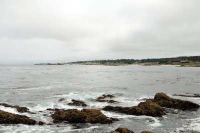 DSC_0302.jpg