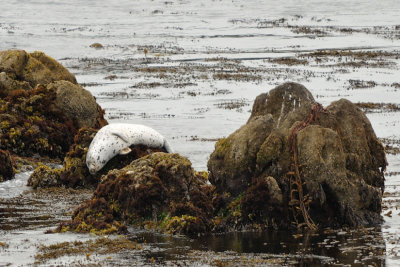 DSC_0326.jpg