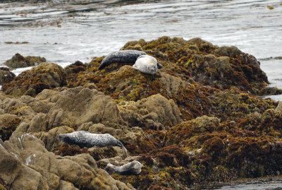 DSC_0331.jpg